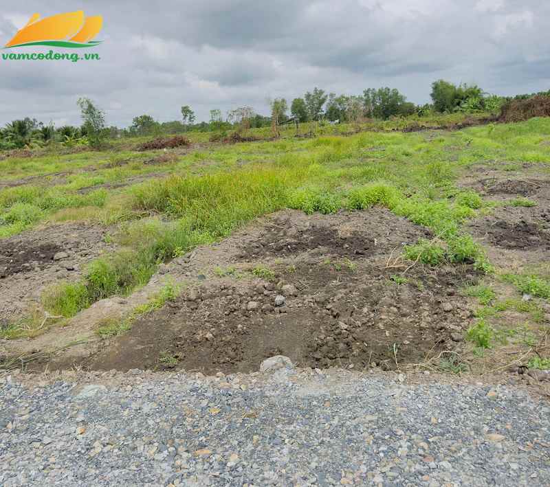 27.382.01 867m2 đất vườn đường đá xanh Thạnh Hòa